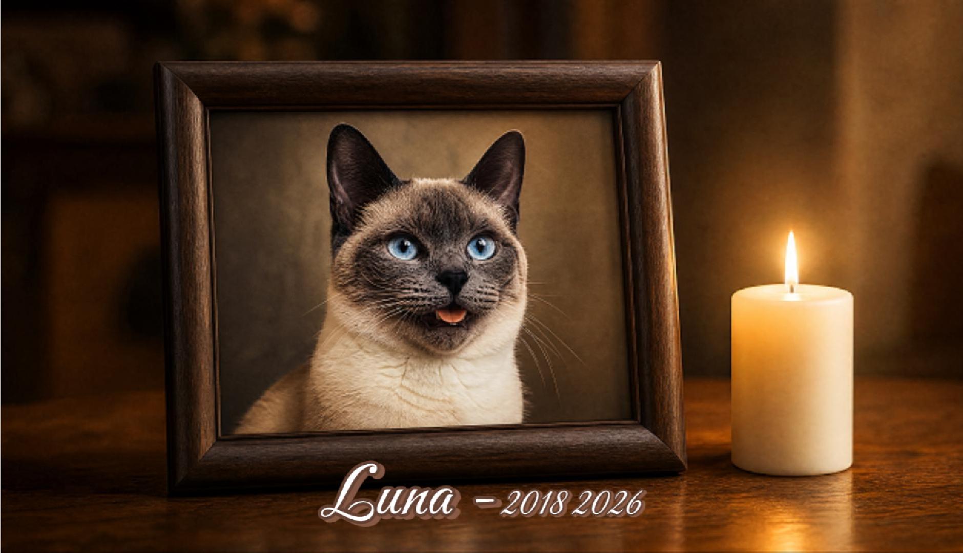 Luna