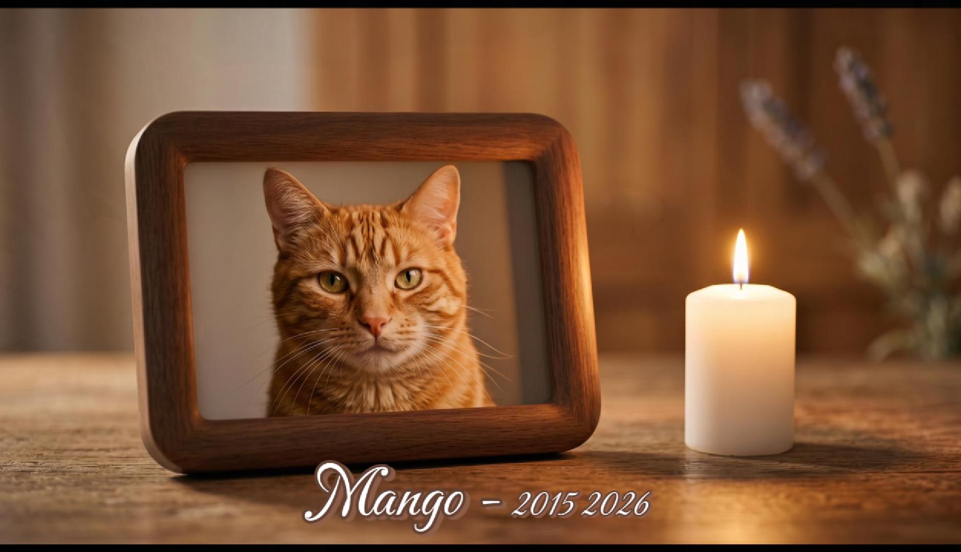 Mango