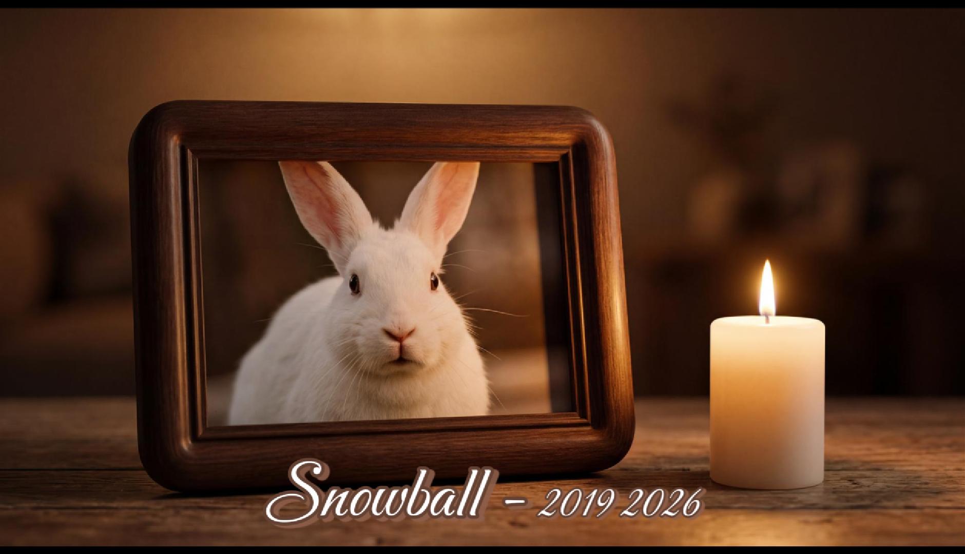 Snowball