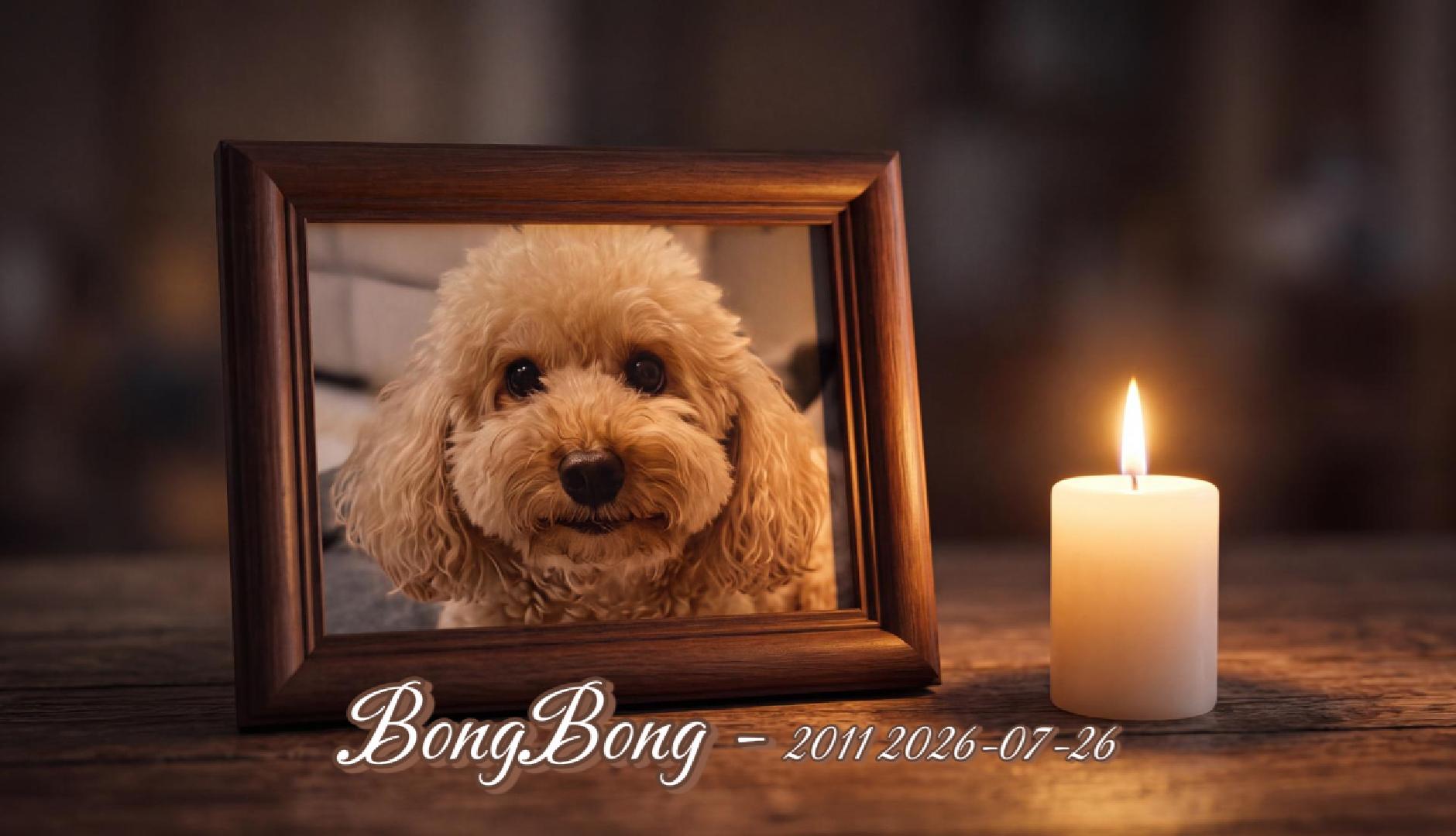 Bong Bong
