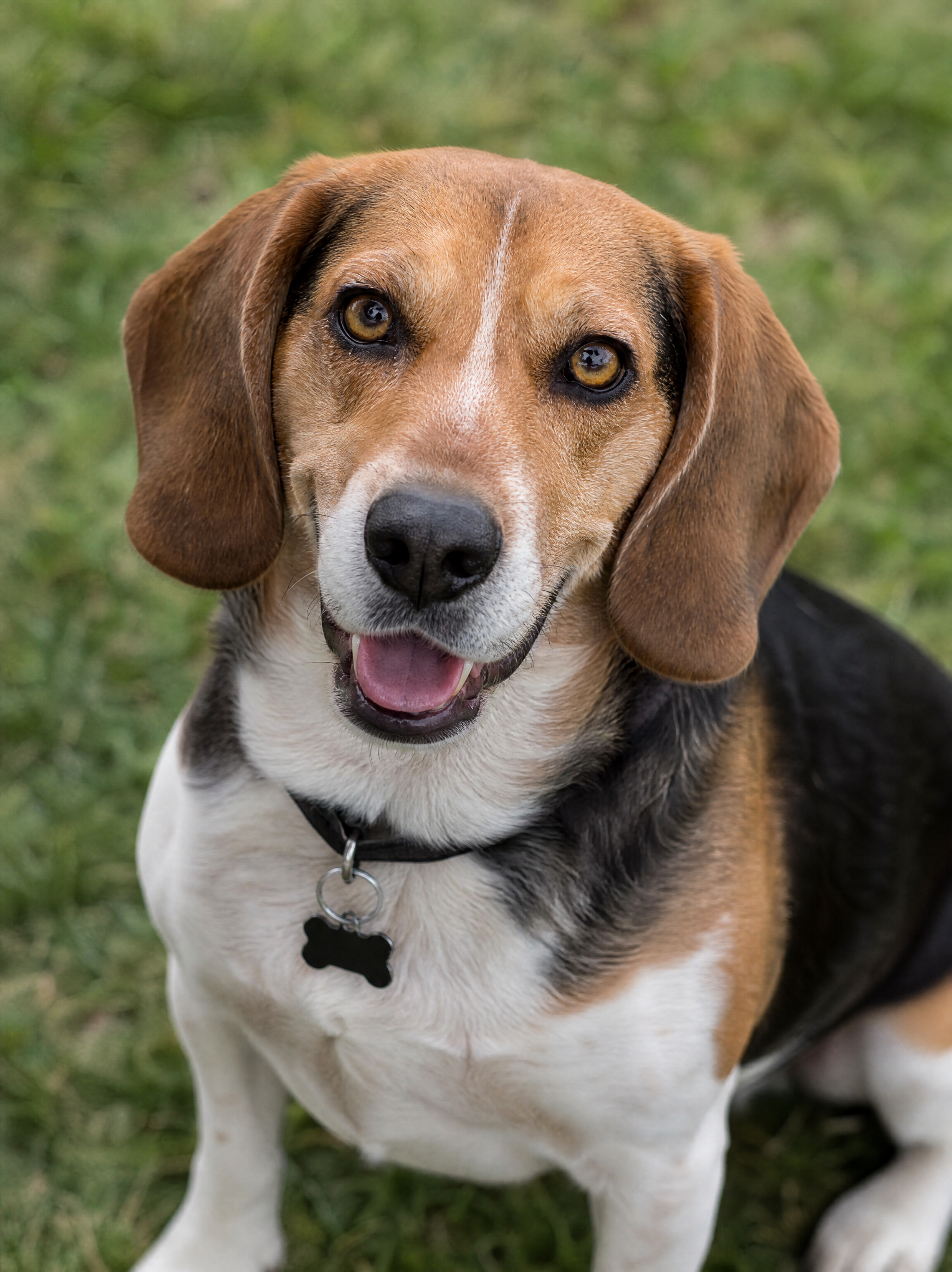 Max